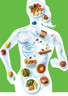 clip art of nutrition in body