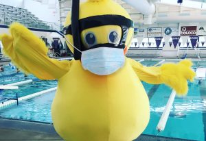 Splash the Duck in Covid mask