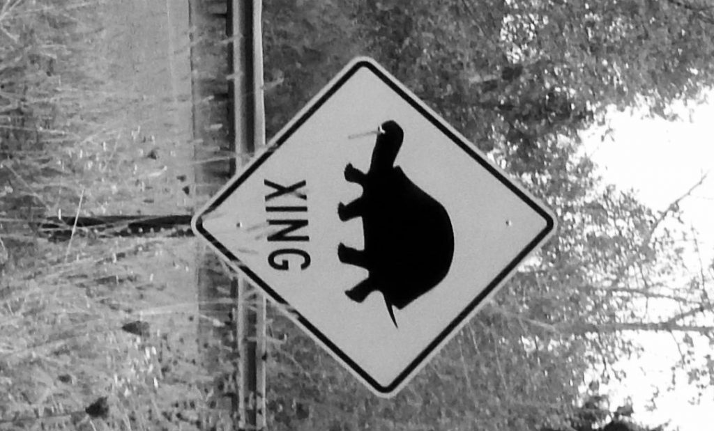 turtle crossing sign